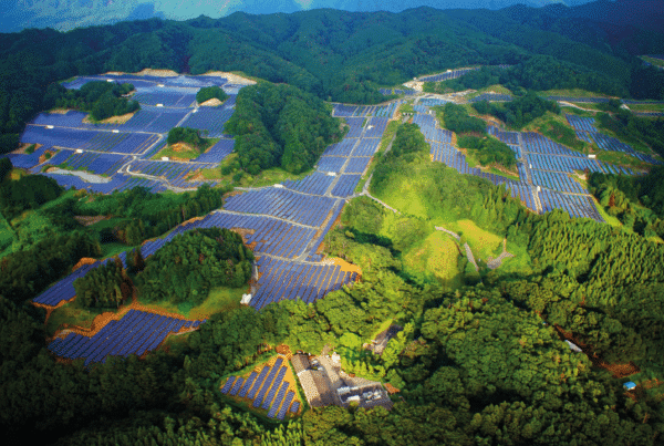 paneles fotovoltaicos