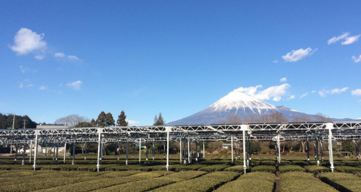 Agrovoltaica