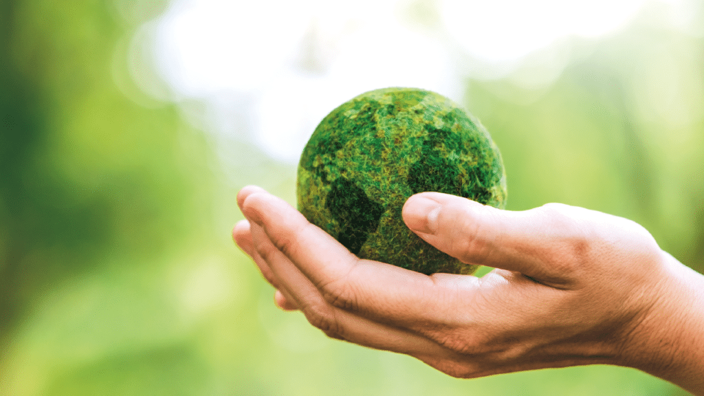 salud ambiental