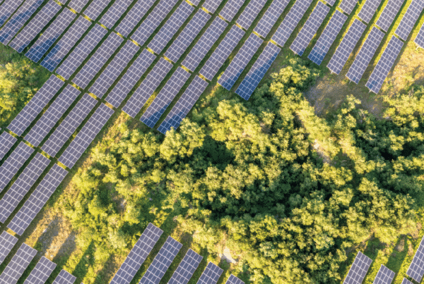 impacto paisajístico