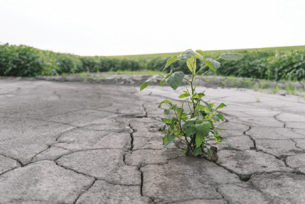 sequía