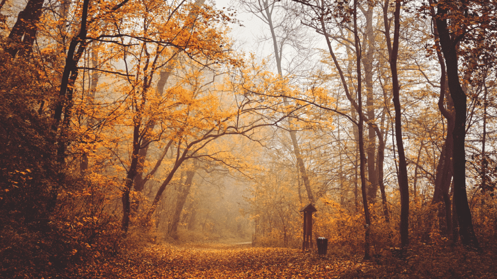 Otoño