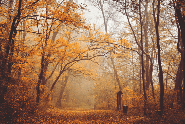 Otoño