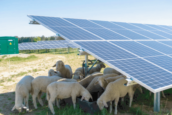 agrovoltaica
